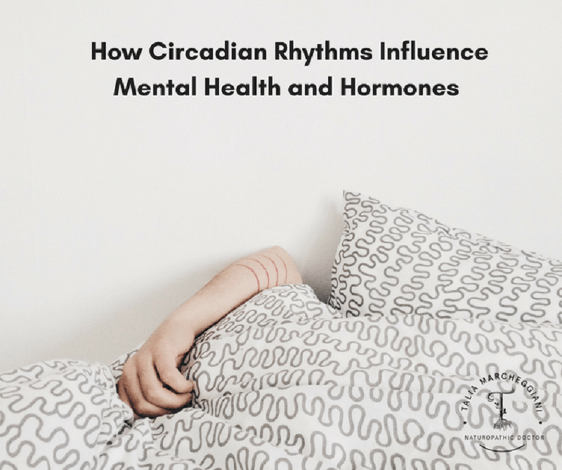 Here Comes the Sun: How Circadian Rhythms Can Heal Our Mental Health and Hormones May  1, 2019 One Health Services Etobicoke